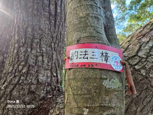 20251222竹東三山步道O型連走(樹杞林山、新具庄山、員崠子山)2975773