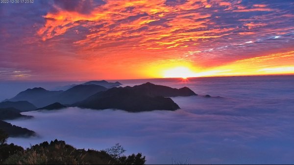 阿里山雲瀑&雲海/富士山直播即時視訊1975848