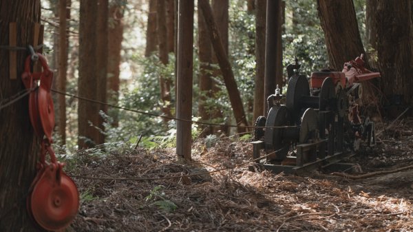 絕美的迷霧森林｜觀霧榛山步道2670056