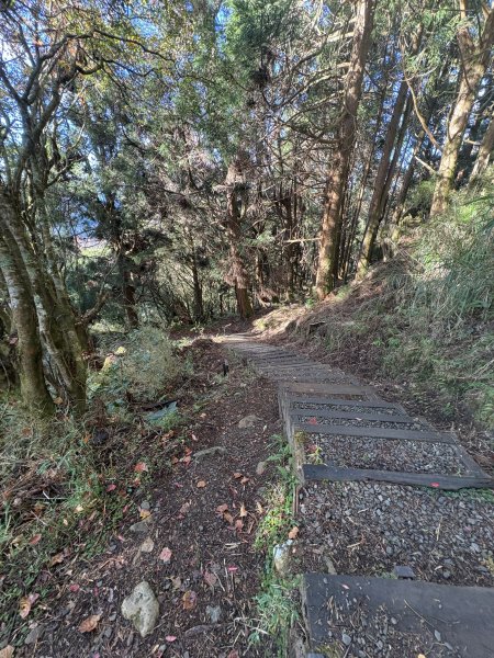 20251225塔山步道(大塔山)2970346