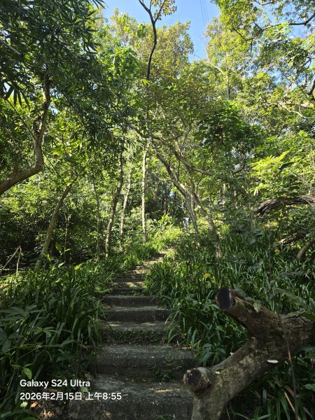 2026-02-15微笑山線：【天上山系】烘爐地土地公段3003978