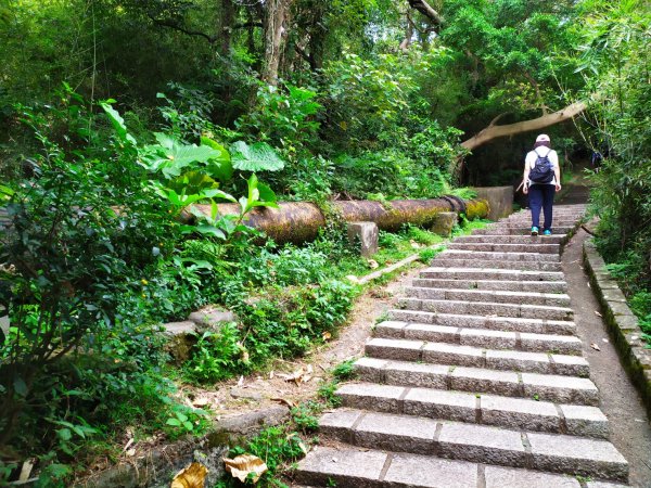 天母水管路步道(天母古道)1099005