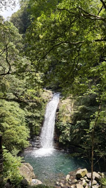 戲水（鴛鴦2786739