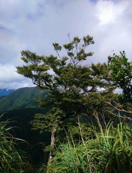 大白山、蘭崁山、新寮山1089180