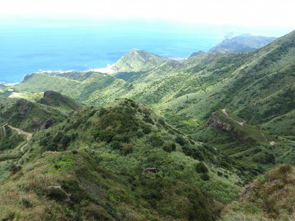 2019-08-31瑞芳-無耳茶壺山759973