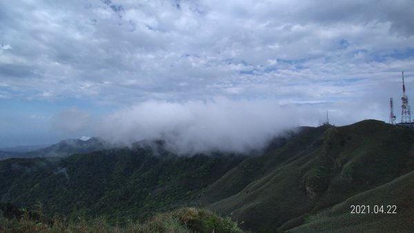 陽明山再見雲瀑觀音圈+月亮同框&夕陽4/22&241359264