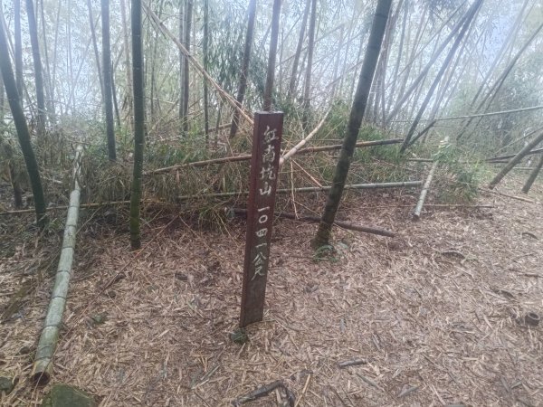 雲嘉十八連峰2589567