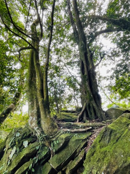 1140319仙山-仙山南峰2738256