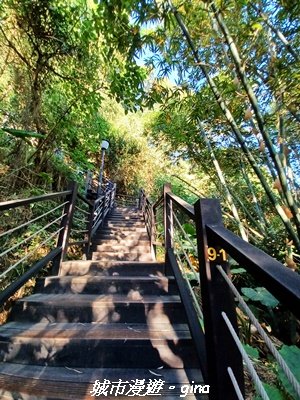 【台中北屯】大坑9-1x9號步道小O繞2945944