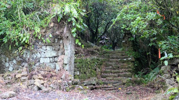 貂山古道,琉榔路觀光步道2590546