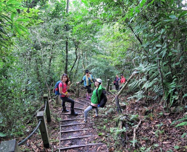 小百岳#37～馬那邦山 976649