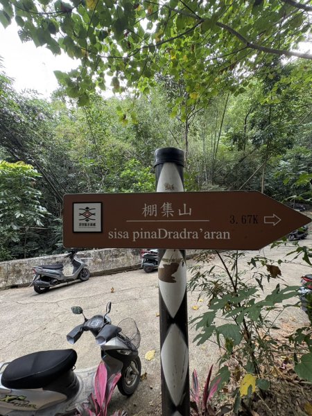 20251109棚集山步道2935227