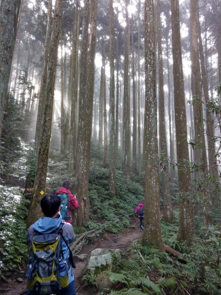 台版富士山「加里山」(小百岳#34) 2020/12/191424787