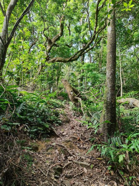 石碇鱷魚島-草湳二格山2786754