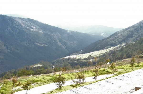 2008_1121_雪山東峰2083059