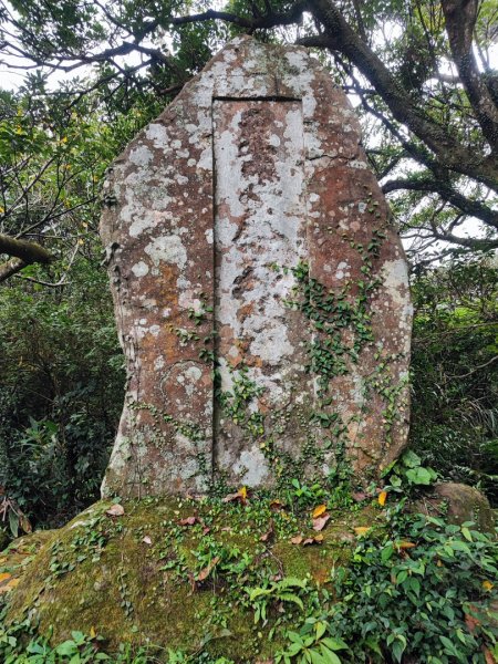 面天山、向天山步道 - 走遍陽明山尋寶任務2262934