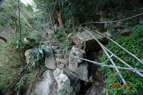 屏東 獅子鄉 里龍山(里隆山、里瀧山、鯉龍山)、下里龍山2018469