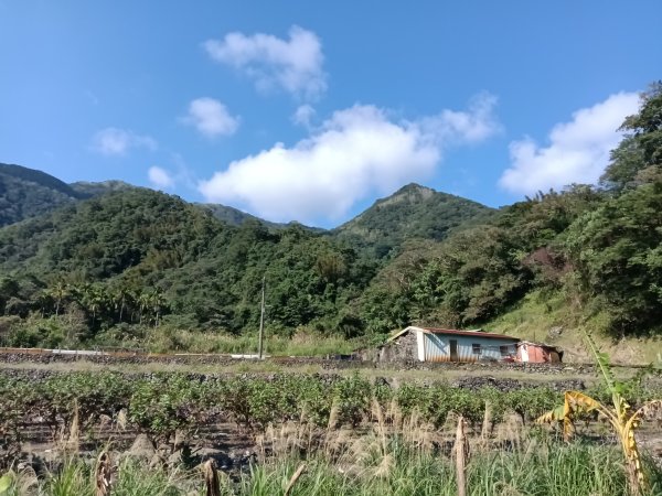 頭城鎮龜山車站+北關山豬線+叢雲山+梗枋古道出龜山車站O型