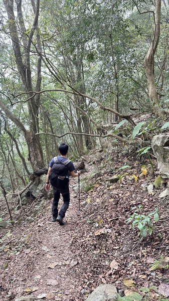 崩潰陡上的水雲三星～鳥嘴山（上島山）2095312