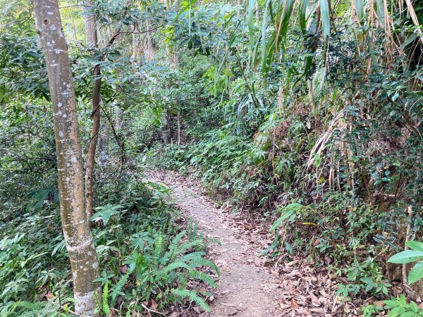 九份二山登山步道2688033