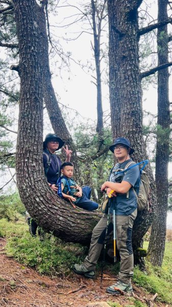 🌈9/13(日)塔加三連峰-麟趾山×鹿林前山×鹿林山FB：熊熊趴爬走(富裕登山社)🌈3118908
