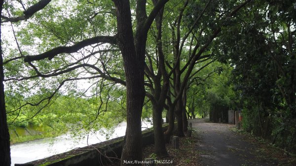 《南投》颱風過後｜竹山下坪吊橋河岸步道202407272559822