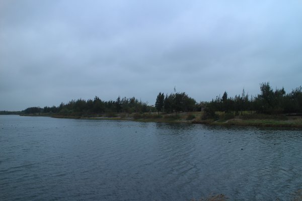 雲林．口湖椬梧滯洪池自行車道2023/01/012003599