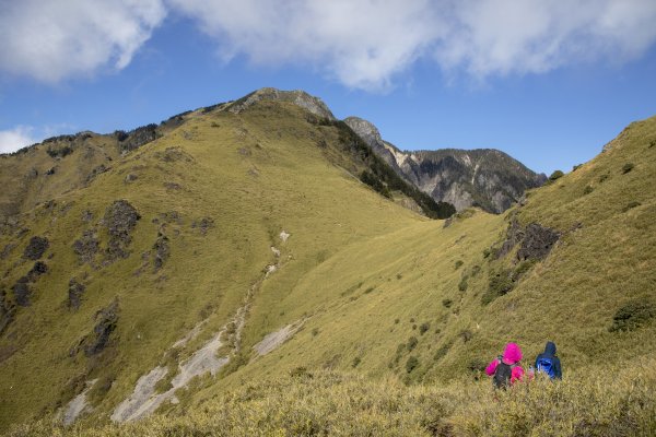 大小劍-油婆蘭全紀錄2674235