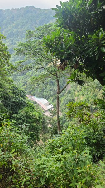 2026-0116 大屯三山_貴子坑_北投2984782