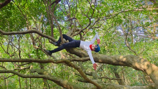 東勢大崙、東勢坑山、觀音湖山O走2986318