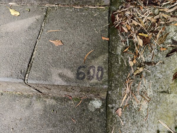 [百山百鳥尋旅-15/15] 2025_0929 硬漢嶺步道(觀音山)2900995