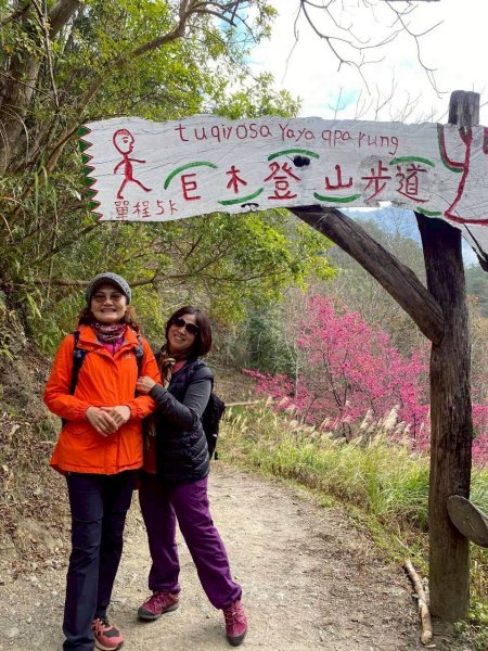 🌈2/19（四）-20（五）司馬庫斯櫻花季2日✨FB：熊熊趴爬走 🌈3004421