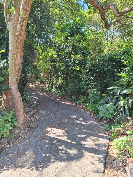 龍昇湖環湖步道+鄭漢步道202509132894822