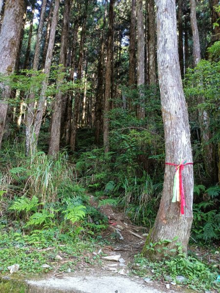 小百岳集起來三星山