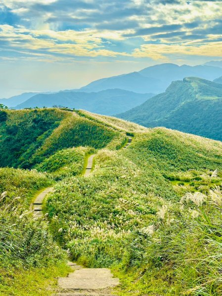 【貢寮】戀戀桃源谷2367866