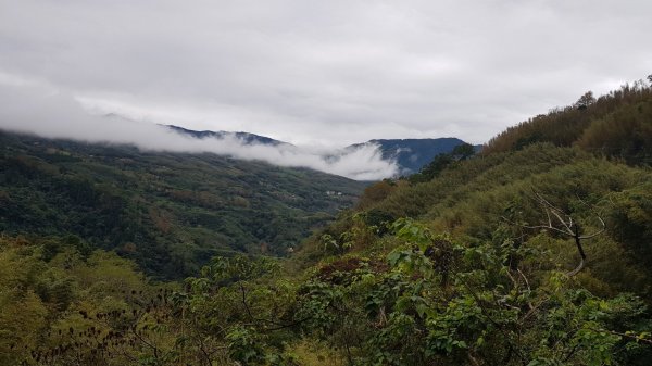 馬武督山500639