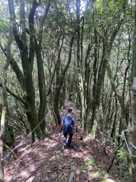 2025.6.28 煤源上李崠山經八五山 O型2824325