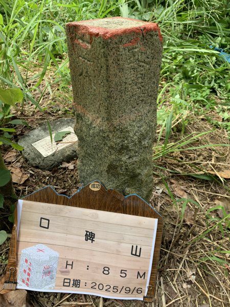 20250906台南口埤山(口碑山)2881410