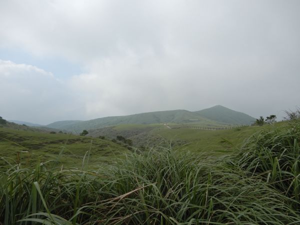 20180519_魚路古道北段+擎天崗334640