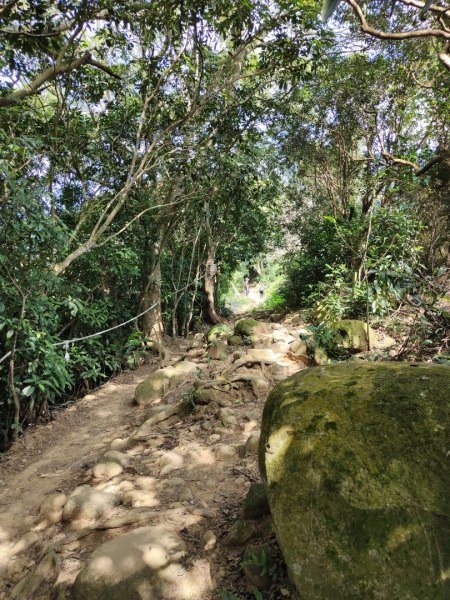 2024.01.02 飛鳳山2832156