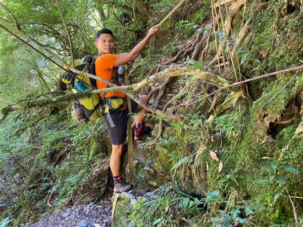 雙龍林道-巒安堂-西巒大山【一切都很美好 除了肩膀之外】2567832