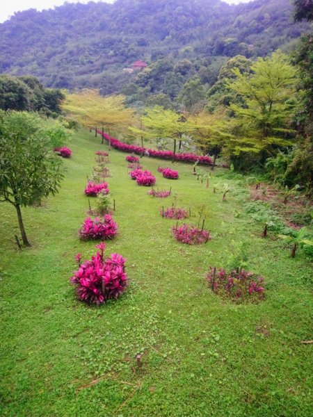 姜子寮山（小百岳）、旗尾崙山O走917217