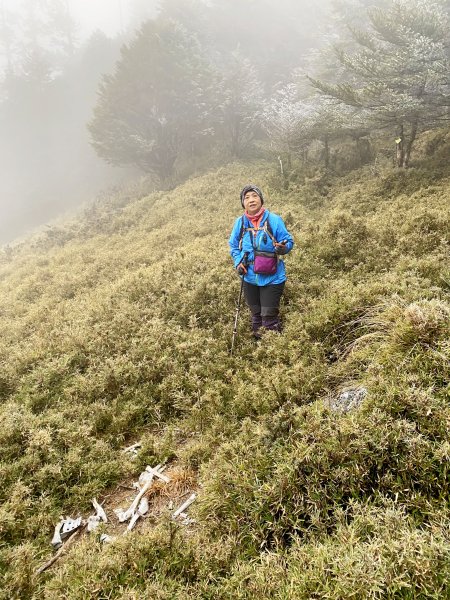 小關山海諾南山3日行--一路的霧淞美景D2  2022/1/121581051