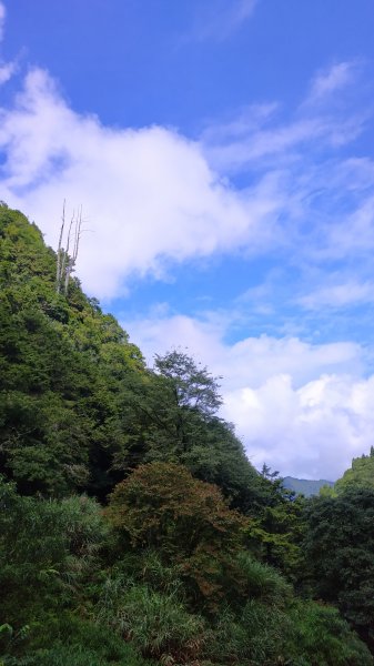 山林美境尋寶石特富野古道202009031090794