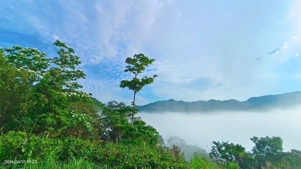 石碇趴趴走追雲趣-琉璃光雲瀑+晨曦日出雲海+火燒雲2483891