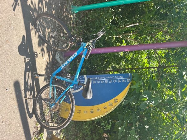 霄裡好風光～熱爆了封面