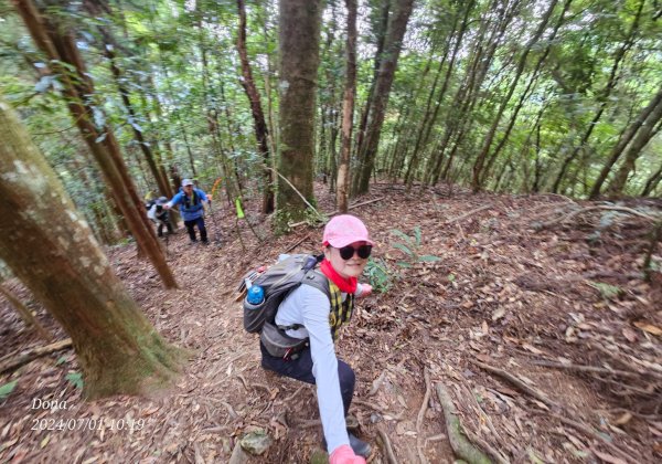 林相優美的油羅山，細數蟬鳴鳥叫2546802