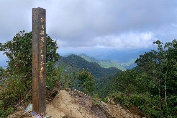 苗栗獅潭｜仙山登山步道｜穿過杉木小徑．遠眺綿延山峰1574412