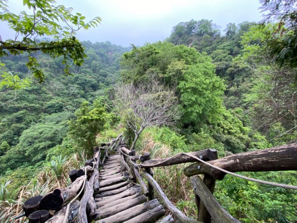 大坑2號原路來回2130470