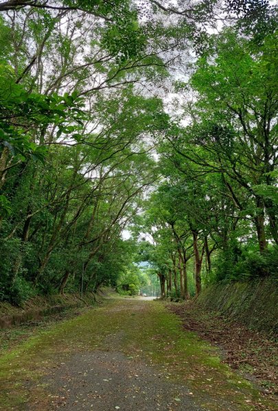 石碇 O 型縱走大崙古道・崩山大崙・華梵大學・熱腸古道・磨石坑山2803283